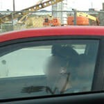 driving whit ear buds in