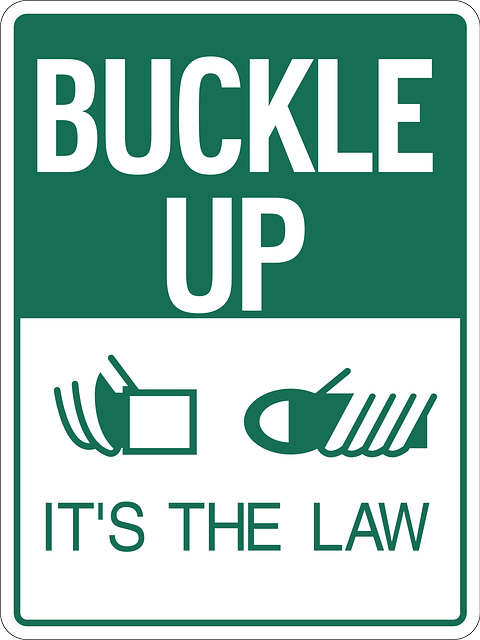 buckle up tips
